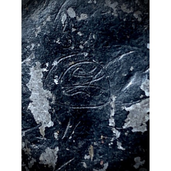 Bia Gae Hum Dtakua Long Rak Thak Luad Hand Spell Inscription Luang Phu Bun