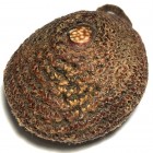 Bia Gae Thak Chueak Perd Hlang Mee Hoo Luang Por Tat Intachodto Wat Karuhabodee Circa 2480 BE Bia Gae Thak Chueak Perd Hlang Mee Hoo Luang Por Tat Intachodto Wat Karuhabodee Circa 2480 BE